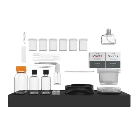 Athena Culture Kit 6