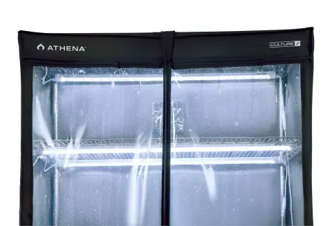 Athena VPDome 6